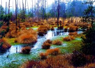 Unique wealth of natural healing resources 